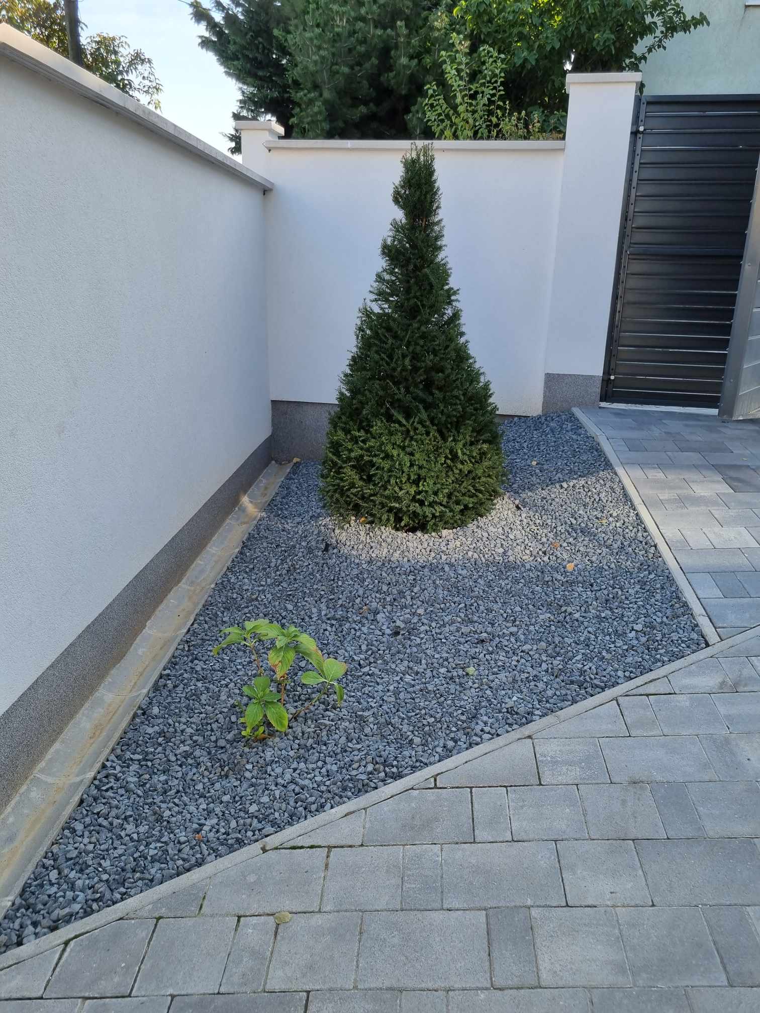 Projekt 2 – Dísznövénybeültetés